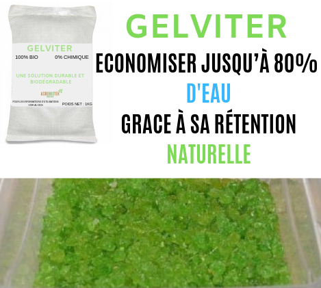 Gelviter - Hydro-rétenteur